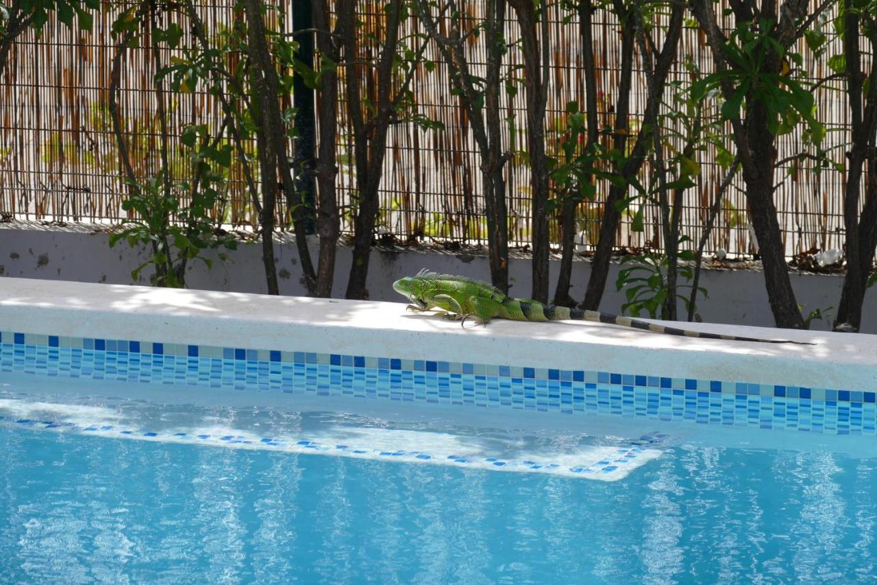 Villa De Mango Fontein Exterior foto
